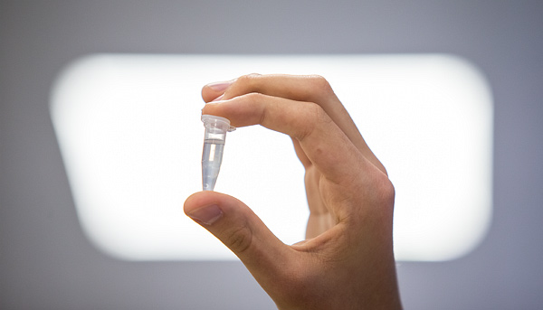Deň kostí a DNA prilákal veľa záujemcov